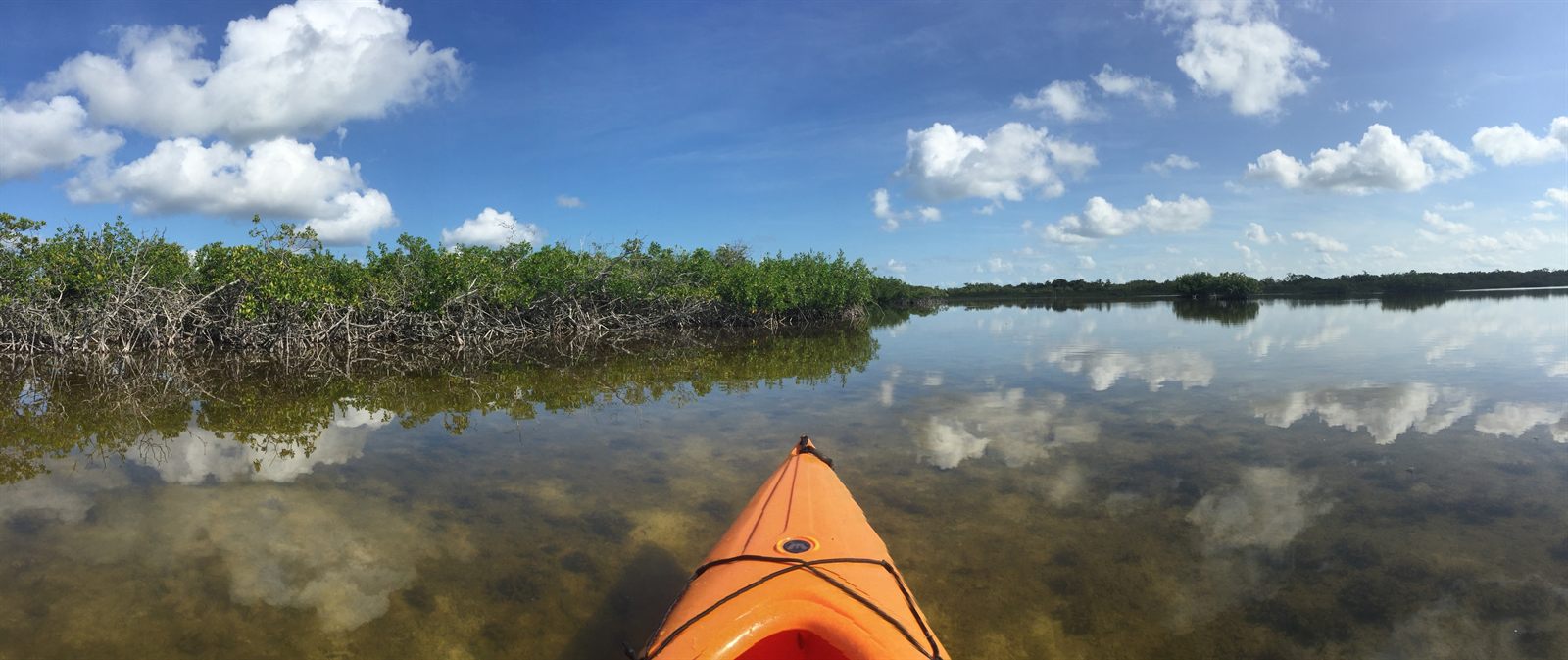 The orange bow of a kayak on calm, clear shallow water reflecting clouds beside a line of low green shrubs